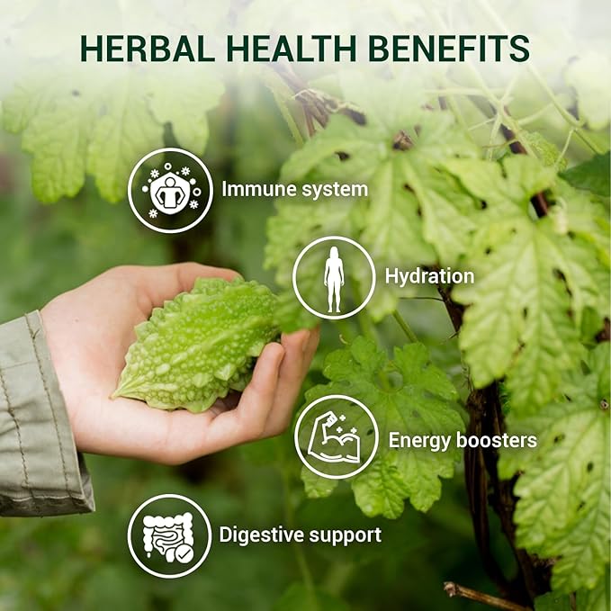 ANBA Bitter Melon Tea Bags, Black Tea & Stevia Herbal Blend, 20 Count | Caffeine-Free | No Sugar Added | Authentic Herbal Tea | ISO HACCP Certified