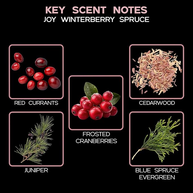 LOVSPA Joy Winterberry Spruce Diffuser Oil - Holiday Essential Oils for Diffuser Refill & Air Freshener Room Spray - Long-Lasting & Natural Home Fragrance, Scented Oil for Diffusers, USA Made, 4oz