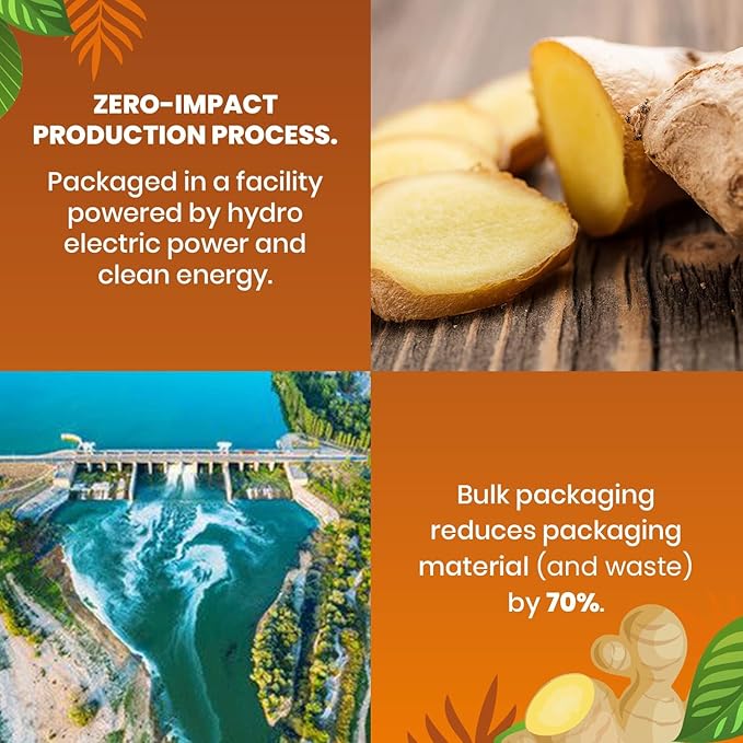 Cederberg Tea Company Organic Ginger Tea — 30 Tea Bags | Organic Herbal Tea From Single Origin | Eco-Friendly Tea Bags | Non-GMO Caffeine Free Tea With Zero Sugar