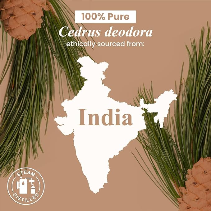 Handcraft Blends Cedarwood Essential Oil – Huge 4 Fl Oz – 100% Pure and Natural – Premium Grade Essential Oil for Diffuser and Aromatherapy, Skin, Massage, Candle and Soap Making Fragrance