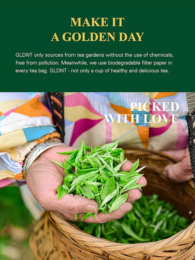 GLDNT Organic Green Tea Bags, Natural Pure Organic Green Tea, Super Antioxidant, Caffeinated, 100 Count