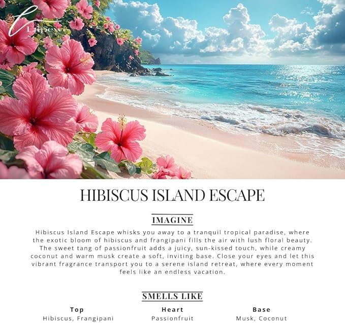 Car Air Freshener Diffuser – 2 Pack Hanging Air Freshener Diffuser (.34 Oz, Hibiscus Island Escape)