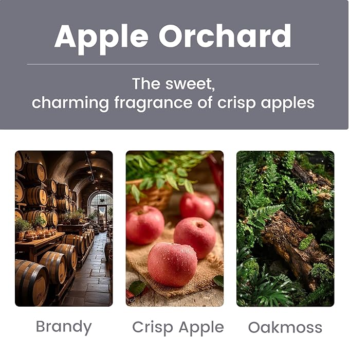 2 in 1 Car Air Freshener, Stone Car fragrance Diffuser Auto Interiors Odor Eliminator, Durable Magnetic Visor Clip & Hanging Air Fresheners - AppleOrchard