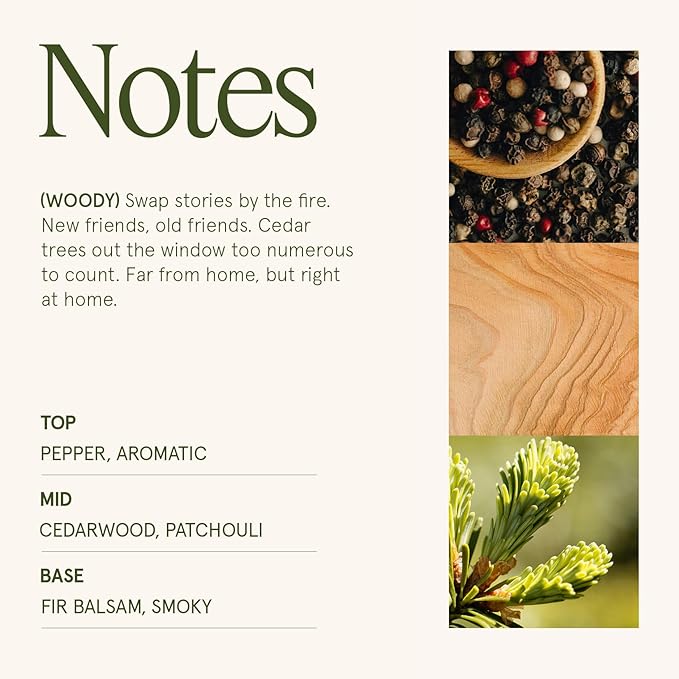 LA JOLIE MUSE Starlit Golden Fir Candle - Cedarwood, Patchouli, Fir Balsam | 6 oz Natural Soy Wax | 40 Hours Clean Burn | Balsam and Fir Candle | Gift-Ready for Hosts & Gatherings