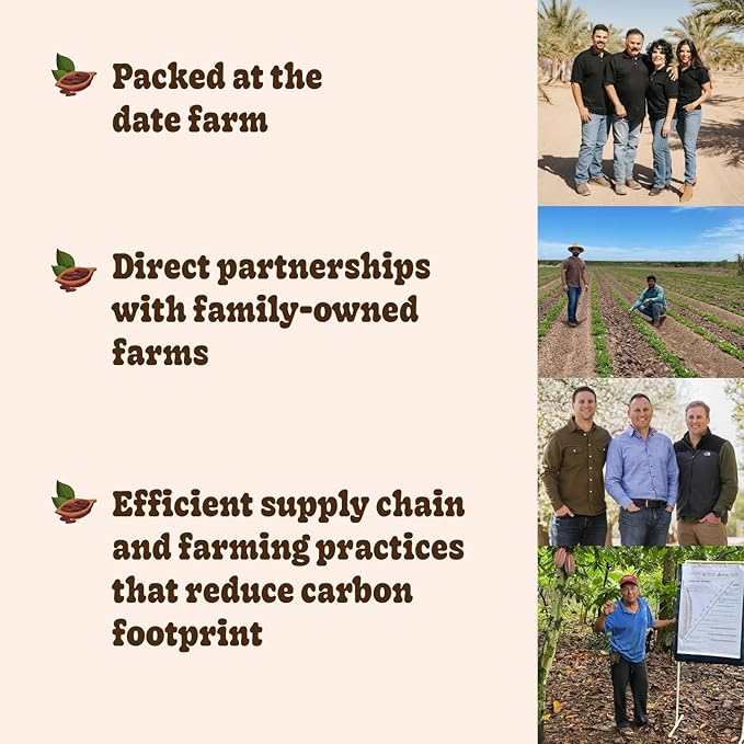 Realsy Chocolate Peanut Butter Filled Medjool Dates, Organic Dates with No Sugar Added, Gluten-Free, Vegan, Good Source of Fiber, Low Glycemic Index, All Natural Healthy Snack, (10 Pack)