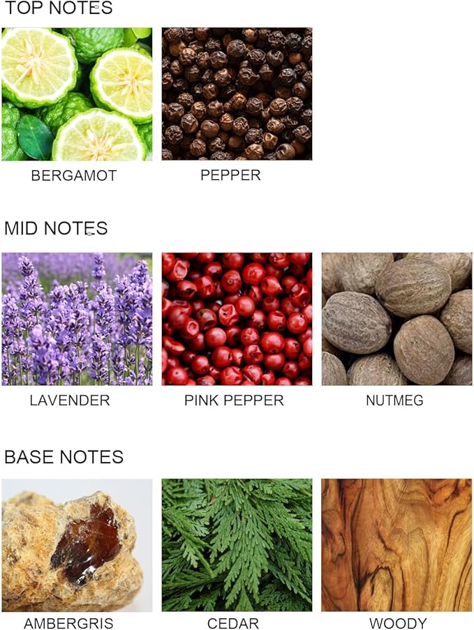 UCC Reed Diffuser Set, 3.38 oz Love in The Wilderness Premium Hotel Collection Scented Diffuser with Flower Sticks Home Fragrance Reed Diffuser for Bathroom Shelf Decor