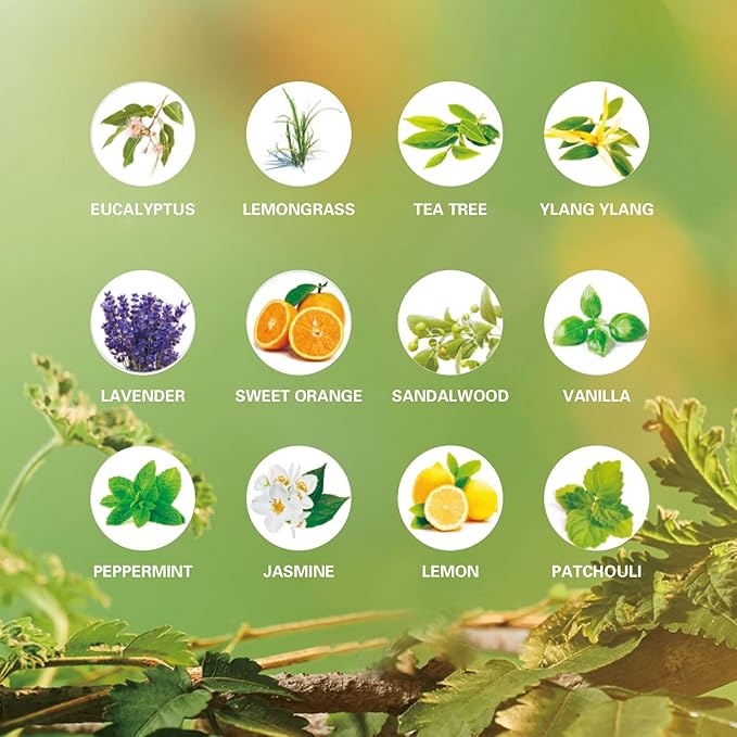 Essential Oils Set for Diffuser, 100% Natural Aromatherapy Essential Oils,12 Single Oils: Lavender, Peppermint & More, Wood Box Gift Set, 10 mL (1/3 oz), for Home Diffusers, Candle