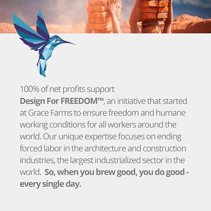 Grace Farms HIBISCUS ORANGE ORGANIC ICED TEA (Twelve 1qt. Brew Bags, 3 Gallons) | Refreshing, Tart and Vibrant, Naturally Sweet Sugar-Free | Easy Cold Brew