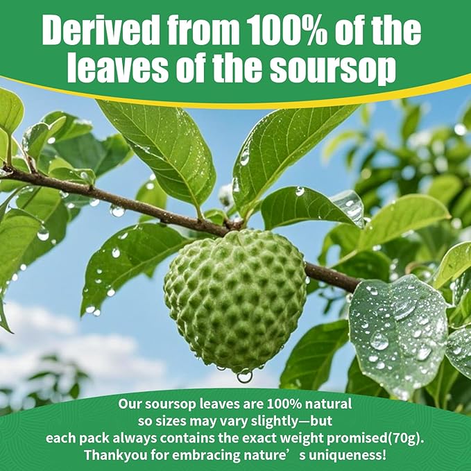 175+ Soursop Graviola Dried Leaves for Tea - 100% Natural Whole Dried Soursop Leaves, 2.47 oz (70 g), No Additives or Preservatives, Herbal Tea, Caffeine Free, Sugar/Soy/Gluten Free