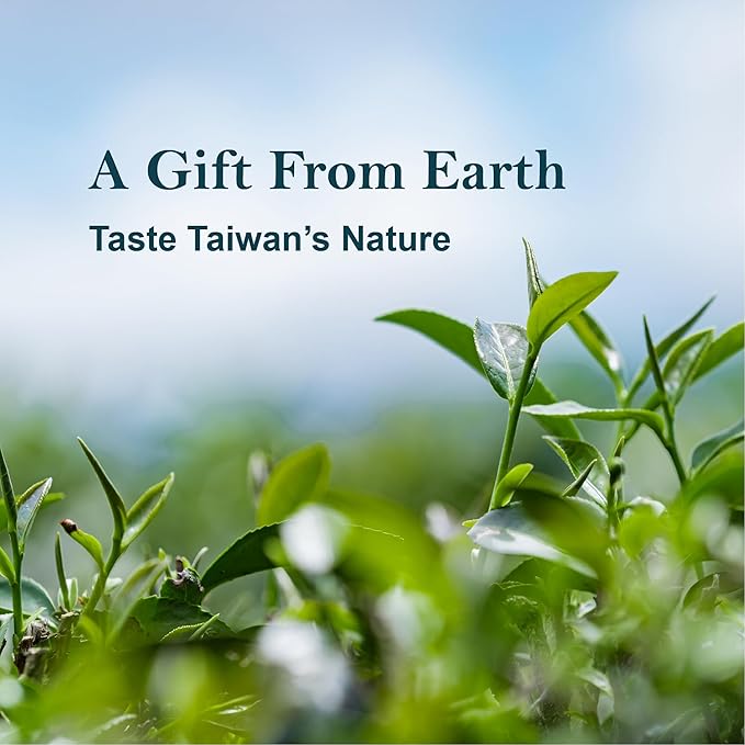 EZR Leaf Tea Sampler Gift Box – 22 Pyramid Tea Bags with Taiwan Black, Osmanthus Oolong, Chamomile Oolong, Berry Black, Four Seasons Green – Flavored Assorted Tea Set for Gifting & Tasting