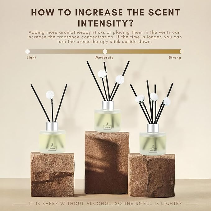 Brakula Reed Diffuser Set, Bamboo White Tea Scented, Reed diffusers for Home, Home Fragrance Diffuser with 7 Reed Sticks for Room/Bathroom Decor 3.38 fl oz (100 ml) (Bamboo White Tea)