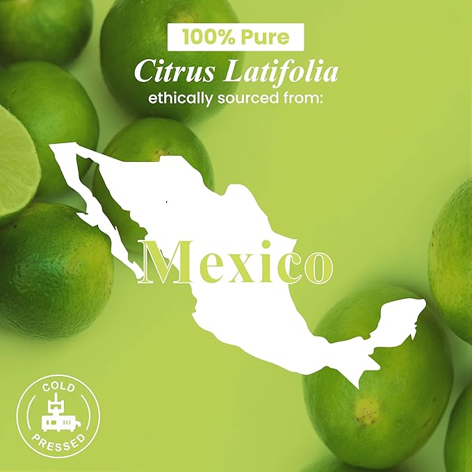 Handcraft Blends Lime Essential Oil – 1 Fl Oz – 100% Pure and Natural – Premium Grade Essential Oil for Diffuser and Aromatherapy, Skin, Massage, Candle and Soap Making Fragrance