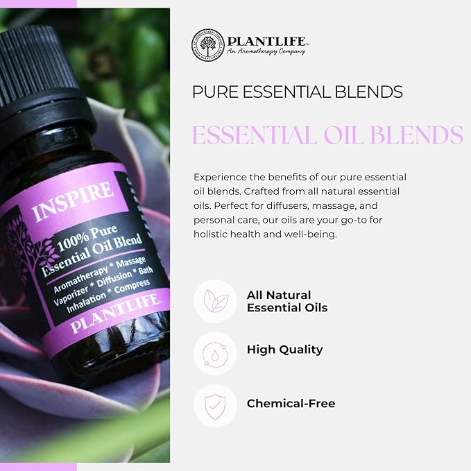 Plantlife Grounded Aromatherapy Essential Oil Blend - Straight from The Plant 100% Pure Therapeutic Grade - No Additives or Fillers - Made in California 10 ml