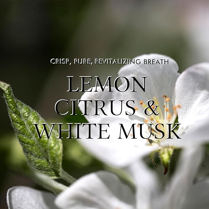 Reed Diffuser Set, 6.7oz(200ml) Fresh Scented Diffuser for Home with 6 Sticks,Home Fragrance Scent Essential Oil Stick Diffuser for Bathroom Shelf Decor