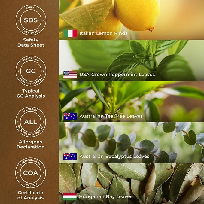 Gya Labs Breathe Essential Oil Blends - 100% Pure Natural Breathe Easy Essential Oils from Eucalyptus, Peppermint and More for Humidifier Cleaner (0.34 Fl Oz)