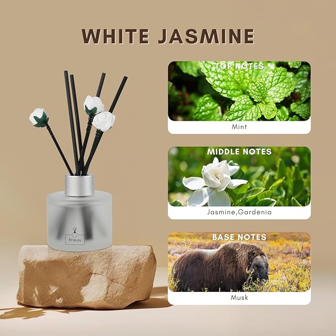Brakula Reed Diffuser Set,White Jasmine Scented, Reed diffusers for Home, Home Fragrance Diffuser with 7 Reed Sticks for Room/Bathroom Decor 3.38 fl oz (100 ml) (White Jasmine)