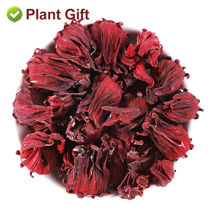 Plant Gift Roselle Hibiscus, Hibiscus Tea, Hibiscus Flowers Roselle Tea, 100% Natural Roselle Whole Flowers - Non-GMO - Caffeine-free - 50G/1.76oz