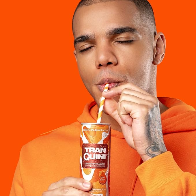 Tranquini Calming Drink With Herbal Adaptogens | Sparkling Water Stress Relief Beverage | Sugar Free, Non Alcoholic, Gluten Free, Vegan - 250ml Ginger Lemongrass (12 cans)