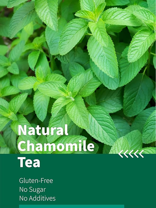 HYNTMYT Peppermint Tea Bags, Natural Peppermint Leaves, Crisp Mint Flavor, Caffeine Free, 100 Count