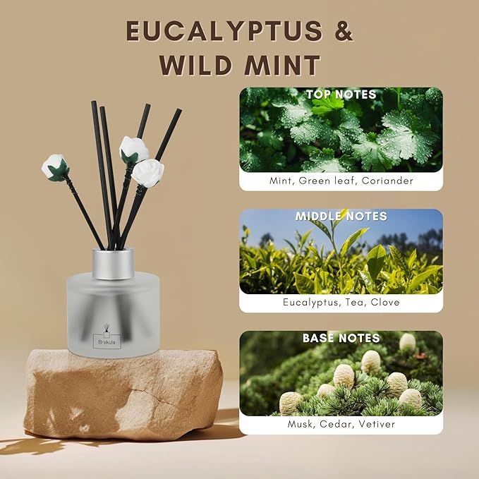 Brakula Reed Diffuser Set, Eucalyptus & Wild Mint Scented, Reed diffusers for Home, Home Fragrance Diffuser with 7 Reed Sticks for Room/Bathroom Decor 3.38 fl oz (Eucalyptus & Wild Mint)