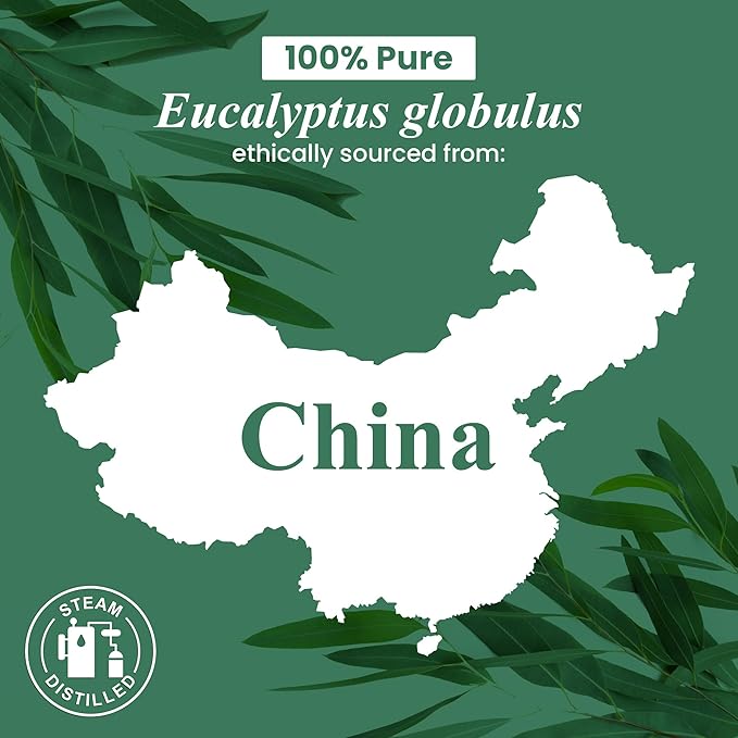 Handcraft Blends Organic Eucalyptus Essential Oil – 1 Fl Oz – 100% Pure and Natural – Premium Grade Essential Oil for Diffuser and Aromatherapy