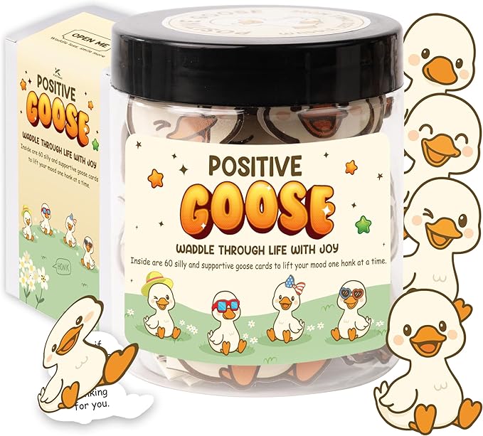 Positive Goose Jar, 60 Silly Goose Affirmation Cards, Teen Girl Gifts Treny Stuff, Birthday Gifts for Teenage Girls, Daughter, Stocking Stuffers for Teen Girls