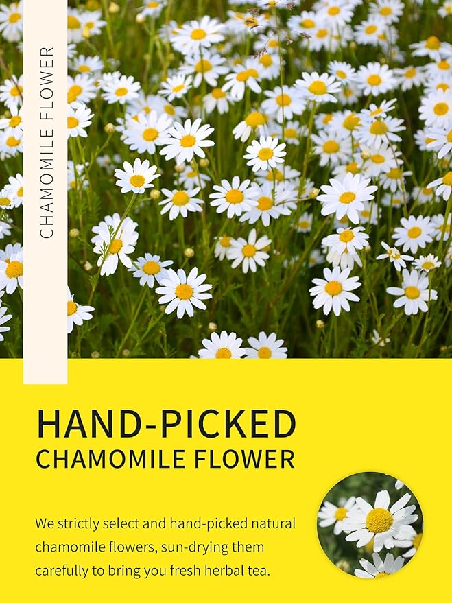 TeeLux Chamomile Tea Bags, 1.5g/bag, Pure Natural Chamomile Flowers Herbal Tea, Caffeine Free, 100 Count
