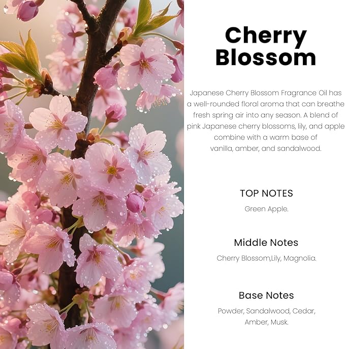 Car Air Freshener Hanging Diffuser – Long-Lasting Essential Oil Scent (Up to 60 Days) – Non-Toxic & Eco-Friendly – 2-Pack Auto Fresheners Made in USA