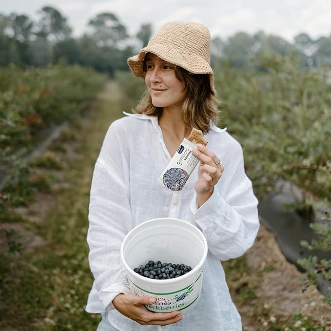 GoMacro Macrobar Organic Vegan Protein Bars - Blueberry + Cashew Butter (2.3 Ounce Bars (Pack of 12)