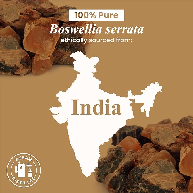 Handcraft Blends Frankincense Essential Oil – Huge 4 Fl Oz – 100% Pure and Natural – Premium Grade Essential Oil for Diffuser and Aromatherapy, Skin, Massage, Candle and Soap Making Fragrance