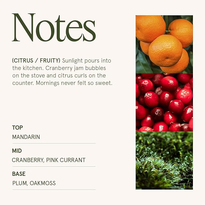 LA JOLIE MUSE Ruby Berry Bliss Scented Candle – Mandarin, Cranberry & Plum | 6 oz Festive Fall Candle | 40 Hours Clean Burn|Vibrant Scent| Gift for Hosts|Fall Tablescapes