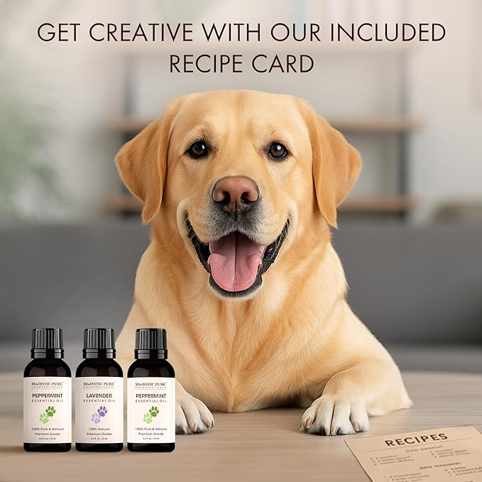 Majestic Pure, Lavender, Peppermint and Frankincense Pet Essential Oil Set | Pet Friendly and Provides Peaceful Atmosphere Used for Diffuser, Room Spray and Topical | Set of 3