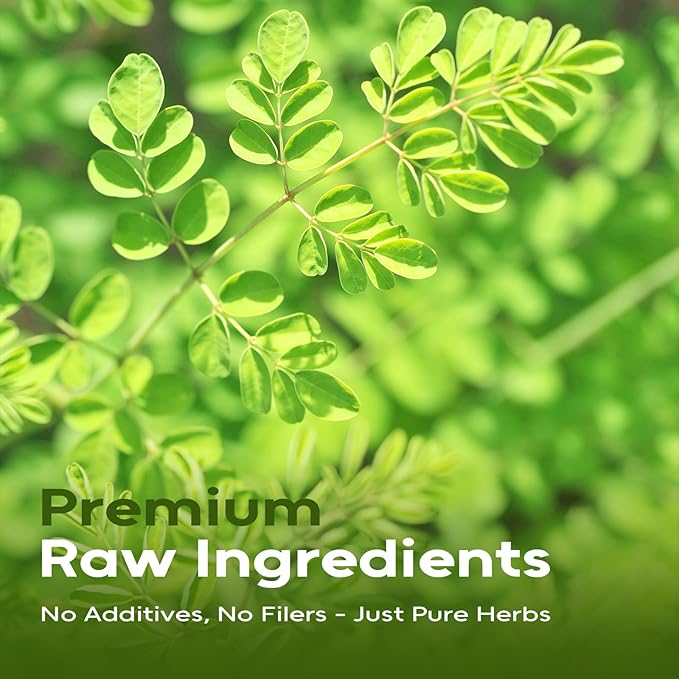 FullChea - Moringa Tea Bags, 100 Count - Pure & Natural Rosabella Moringa Leaves, Cultivated From India - Caffeine-free Herbal Tea for Supporting Digestion & Immune System - Non-GMO