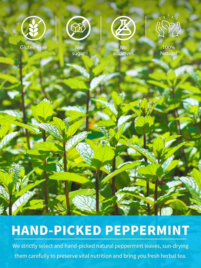 TeeLux Peppermint Tea Bags, Natural Peppermint Herbal Tea, Refreshing & Soothing Mint Tea, Caffeine Free, 100 Count