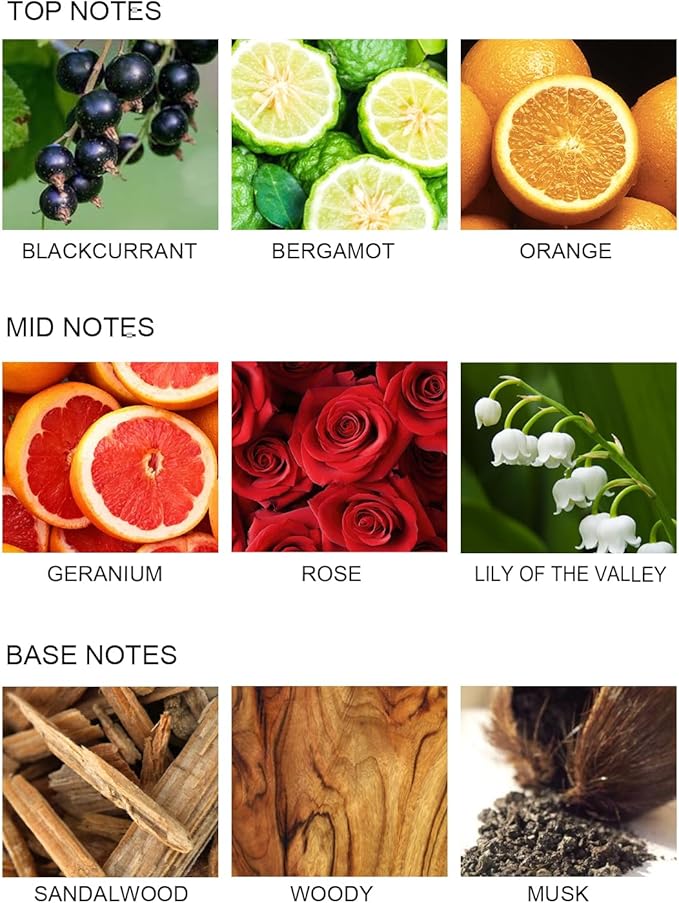 UCC Reed Diffuser Set, 3.38 oz Romantic Love Premium Hotel Collection Scented Diffuser with Flower Sticks Home Fragrance Reed Diffuser for Bathroom Shelf Decor