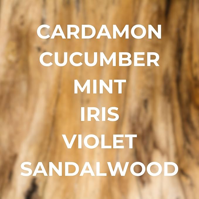 Bright Spot Car Air Freshener - Lush - Cucumber, Iris, Sandalwood scent - Premium Car Hanging Air Freshener, Long-Lasting Fragrance for Auto and Home, 2 Bottles