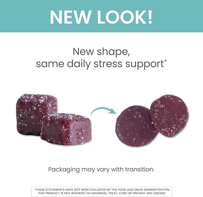 Himalaya Ashwagandha Organic Gummies, KSM-66 Organic Ashwagandha to Help with Stress Relief, Energy and Relaxation, 60 Gummies with Delicious BlackBerry Flavor