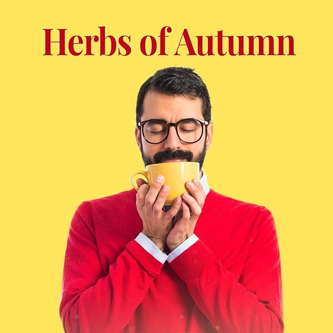 The Republic of Tea Hot Apple Cider Seasonal Herbal Tea, 36 Tea Bag Refill