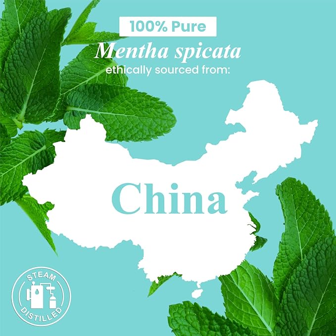 Handcraft Blends Spearmint Essential Oil – Huge 4 Fl Oz – 100% Pure and Natural – Premium Grade Essential Oil for Diffuser and Aromatherapy, Skin, Massage, Candle and Soap Making Fragrance