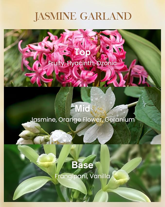 M&SENSE Jasmine Garland Scented Natural Soy Wax Candle, 14.1oz 60 Hours Long Lasting Slow Burning Candles for Home Decor, Aromatherapy Candle for Stress Relief