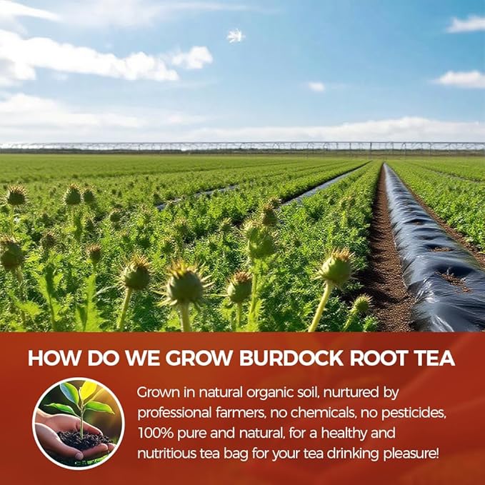WOTIHA-Natural Burdock root tea 150g.75 Herbal Tea Bags.Non-GMO • Additive-Free • Caffeine-Free • Sugar-Free • Vegan