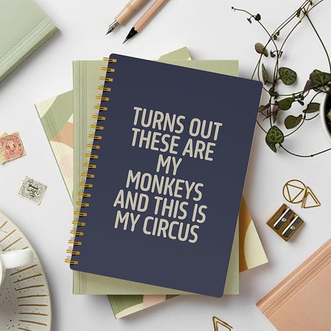 Funny Notebooks for Work, Blue Aesthetic Journal, Funny Boss Day Gifts, Boss Gifts for Men Women, Funny Gifts for Boss, Boss Office Decor, Spiral Notebook 5.5x8.3 Inch