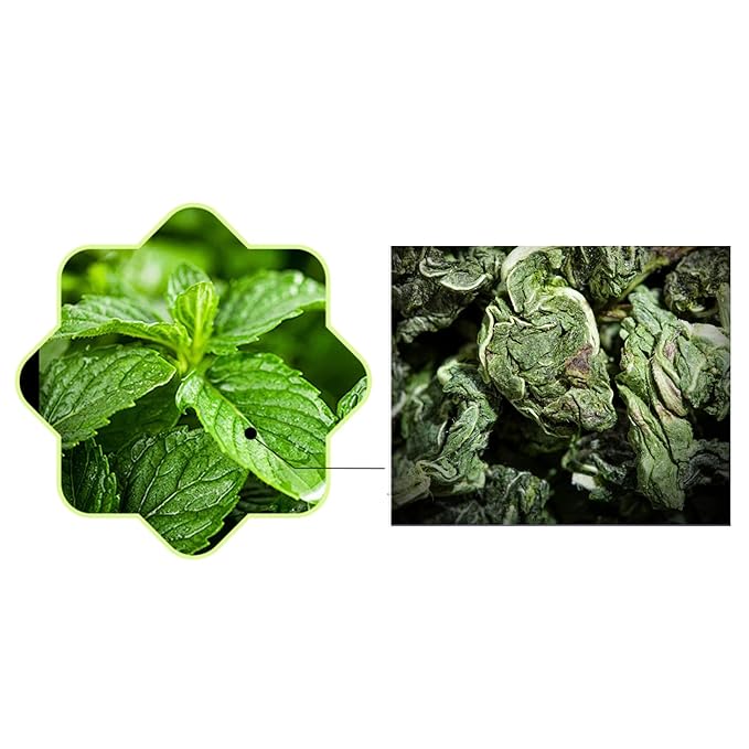 85g/3Oz Pure Mint Herbal Tea Bags, Peppermint & Spearmint, Loose leaf 50 Pyramid Teabags, Blended with Fresh Ingredients, Natural Herbal Tea, Gluten Free