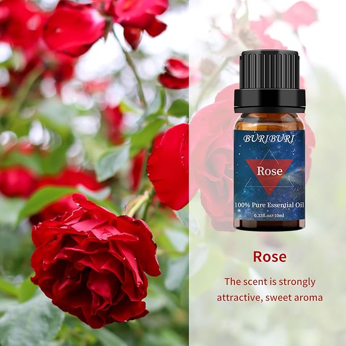 Rose and Sandalwood Essential Oil, 100% Pure, Undiluted, Natural, Organic Aromatherapy Essential Oils Gift Set, 10MLx2