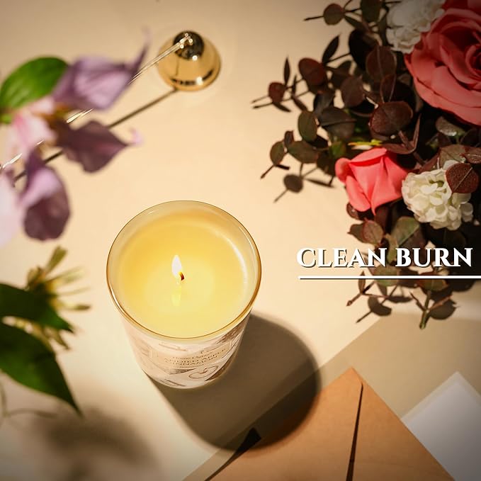 HomeLights Large jar Candle | 1-Wick Long-Lasting Scented Candles, 6.7oz Natural Soy Wax Candle for Home Scented, Rustic Modern Gifts for Women & Men, Candied Apple Cinnamon