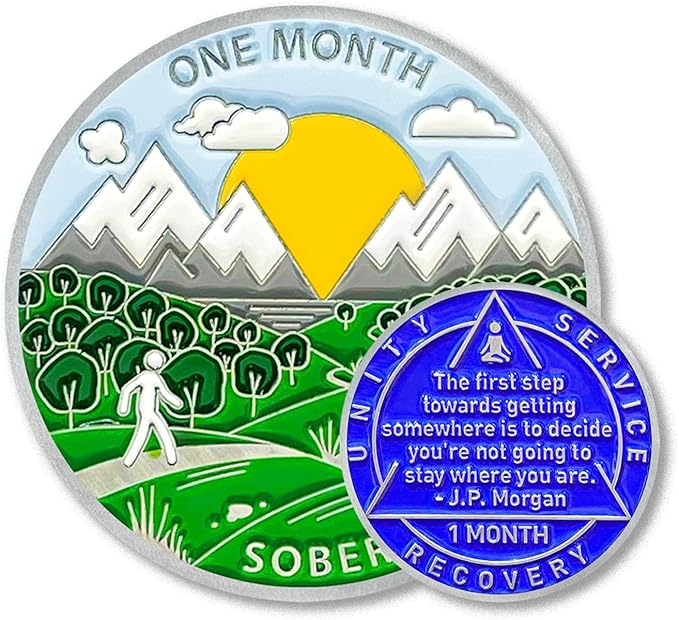 1 Month Sobriety Coin 30 Days Sobriety Chips AA Chip AA Coins 1 Month Sober chip Token Recovery Medallion Plastic case Included-Baking Paint Process