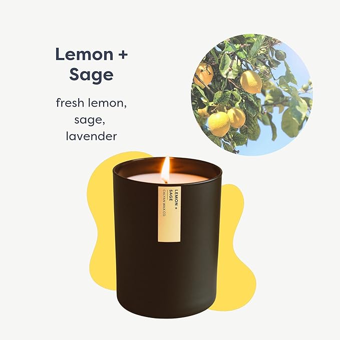 Calyan Wax Co. Soy Wax Candle, Passionfruit + Ginger Scented Candle, 75 Hour Burn Time, Aromatherapy Soy Candles, Non Toxic & Vegan Soy Wax, Black Tumbler Scented Candles, 10.2oz