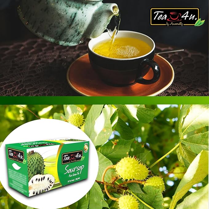 Tea4U Soursop Green Tea - Smooth Blend of Soursop Flavor - Hand Picked Leaves - Keeps You Hydrated with Refreshing Aroma - 25 Teabags