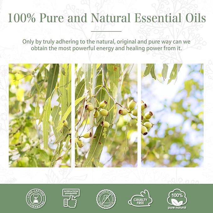 Lemon Eucalyptus 3.38fl.oz Essential Oil, PHATOIL Pure Aromatherapy Oils for Diffuser, Humidifier, Perfect for DIY Soap, Candle, Bath Bombs Making(100ml)