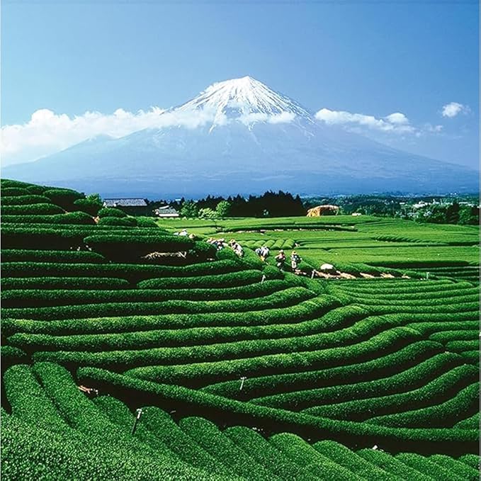 Palais des Thés - Genmaicha Yama - Japanese Green Tea & Roasted Rice - Premium Loose Leaf, 4.6oz Tin